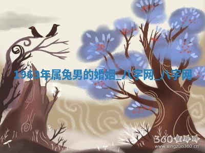 2026年02月14日出生杨姓男宝宝八字五行取名禁忌与建议