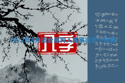 2026年02月19日出生徐姓男宝宝八字五行取名禁忌与建议