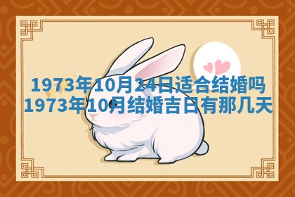 2026年02月06日农历二〇二五年腊月十九出生的张姓男宝宝取名全攻略