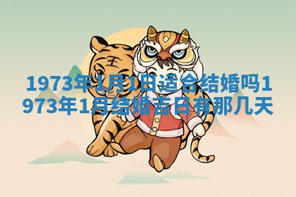 2026年02月06日农历二〇二五年腊月十九出生的张姓男宝宝取名全攻略