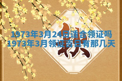 白姓女宝宝起名大全：2026年02月25日生辰八字喜用神分析