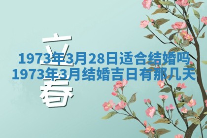2026年02月06日农历二〇二五年腊月十九出生的张姓男宝宝取名全攻略