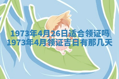 2026年02月06日农历二〇二五年腊月十九出生的张姓男宝宝取名全攻略