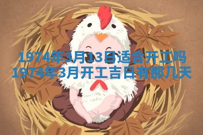 白姓女宝宝起名大全：2026年02月25日生辰八字喜用神分析