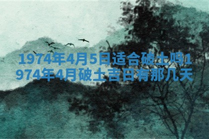 毛姓2026/03/19出生女宝宝起名全攻略：名字推荐与禁忌字分析