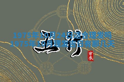 01月18日打麻将财神吉位查询