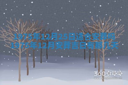 毛姓2026/03/19出生女宝宝起名全攻略：名字推荐与禁忌字分析