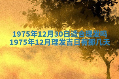 2026年02月18日杜姓女宝宝起名必读：八字喜忌用字详解
