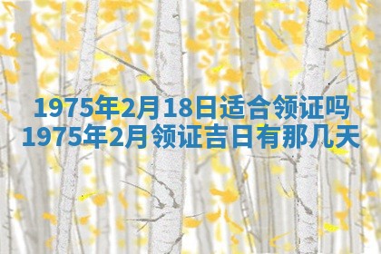 毛姓2026/03/19出生女宝宝起名全攻略：名字推荐与禁忌字分析