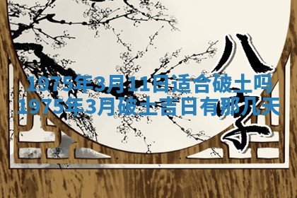 蒋姓2026/02/09出生男宝宝起名全攻略：名字推荐与禁忌字分析