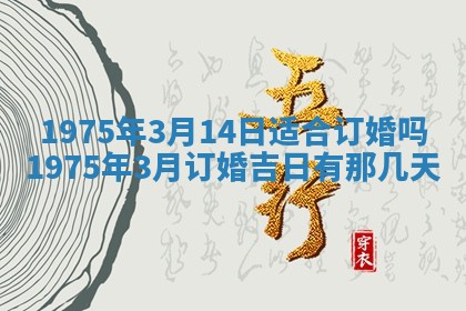 2026年02月06日农历二〇二五年腊月十九出生的张姓男宝宝取名全攻略