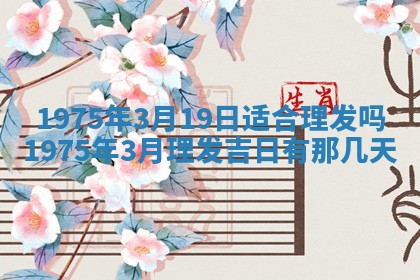毛姓2026/03/19出生女宝宝起名全攻略：名字推荐与禁忌字分析