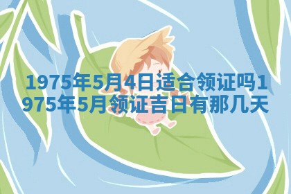 2026年02月06日农历二〇二五年腊月十九出生的张姓男宝宝取名全攻略