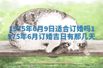 2026年01月24日麻将财神方向