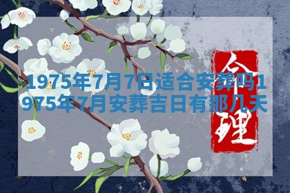 毛姓2026/03/19出生女宝宝起名全攻略：名字推荐与禁忌字分析