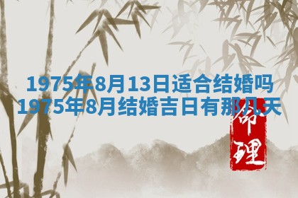 白姓女宝宝起名大全：2026年02月25日生辰八字喜用神分析