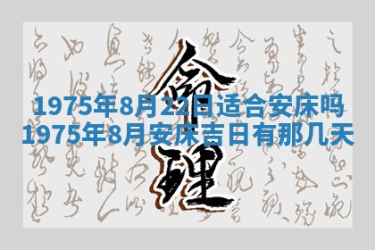 毛姓2026/03/19出生女宝宝起名全攻略：名字推荐与禁忌字分析