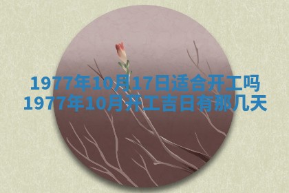 徐姓2026年02月08日出生女孩子取名宜用字大全