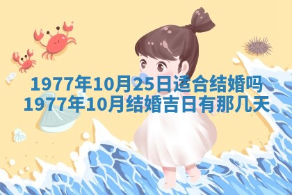 2026年01月12日打麻将财神方位打麻将攻略
