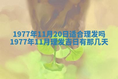 文姓男孩子名字推荐：2026年02月14日出生宝宝的吉祥起名