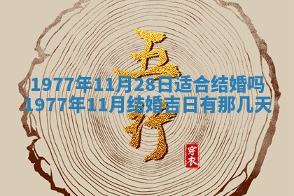 徐姓2026年02月08日出生女孩子取名宜用字大全