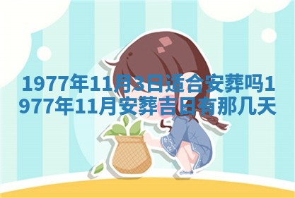 徐姓2026年02月08日出生女孩子取名宜用字大全