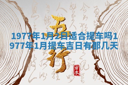 文姓男孩子名字推荐：2026年02月14日出生宝宝的吉祥起名