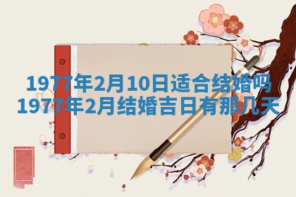 徐姓2026年02月08日出生女孩子取名宜用字大全