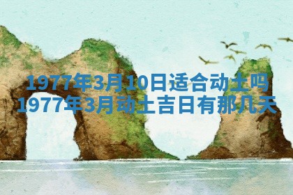 徐姓2026年02月08日出生女孩子取名宜用字大全