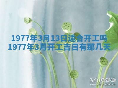 徐姓2026年02月08日出生女孩子取名宜用字大全
