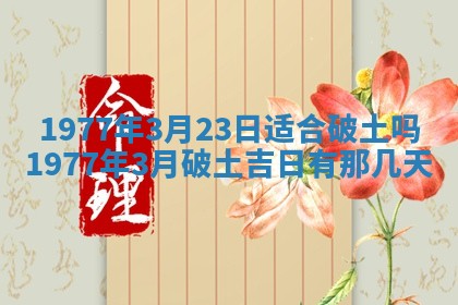 徐姓2026年02月08日出生女孩子取名宜用字大全