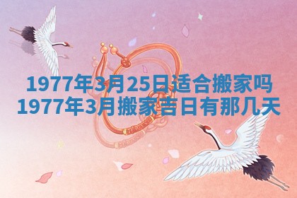 徐姓2026年02月08日出生女孩子取名宜用字大全