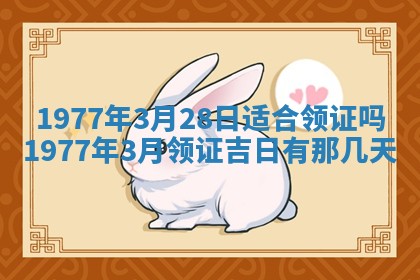 文姓男孩子名字推荐：2026年02月14日出生宝宝的吉祥起名