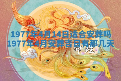 文姓男孩子名字推荐：2026年02月14日出生宝宝的吉祥起名