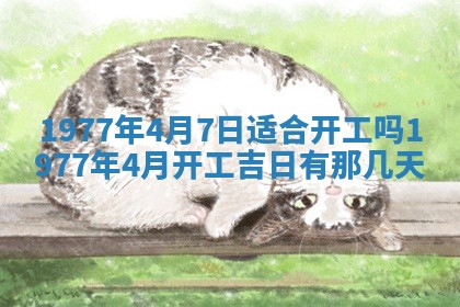 2026年01月12日打麻将财神方位打麻将攻略