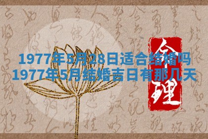 2026年01月12日打麻将财神方位打麻将攻略