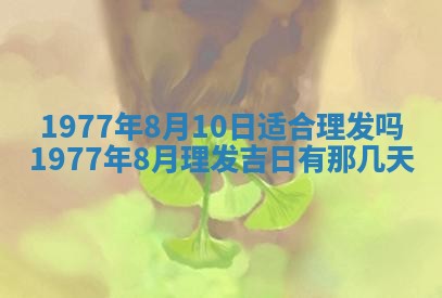 徐姓2026年02月08日出生女孩子取名宜用字大全