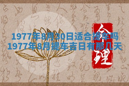 徐姓2026年02月08日出生女孩子取名宜用字大全