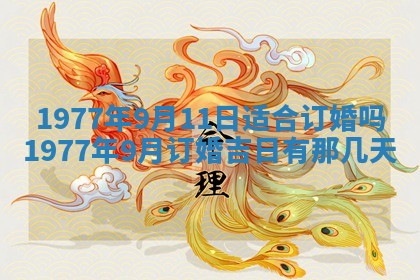 今日农历2025年五月廿六黄历新店开张适合吗,开业吉日