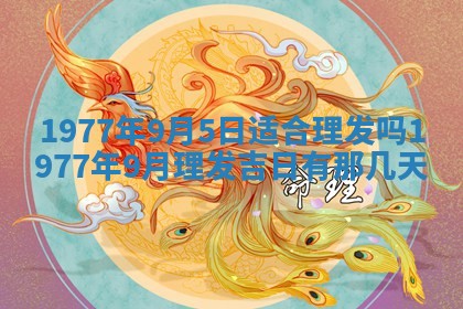 2026年01月12日打麻将财神方位打麻将攻略