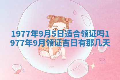文姓男孩子名字推荐：2026年02月14日出生宝宝的吉祥起名