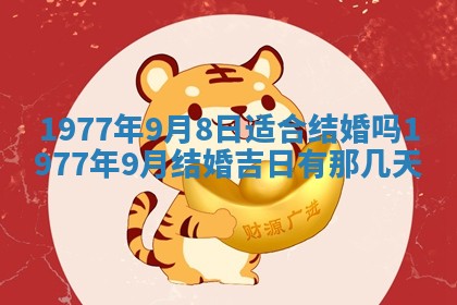 2026年01月12日打麻将财神方位打麻将攻略