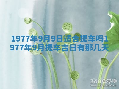 今日农历2025年五月廿六黄历新店开张适合吗,开业吉日