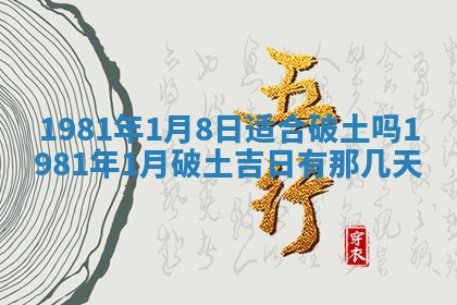 2026年01月30日农历二〇二五年腊月十二出生的范姓女宝宝取名全攻略