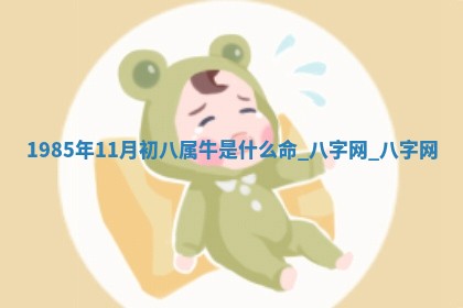 方姓2026年02月05日出生的男孩子命理分析与起名攻略