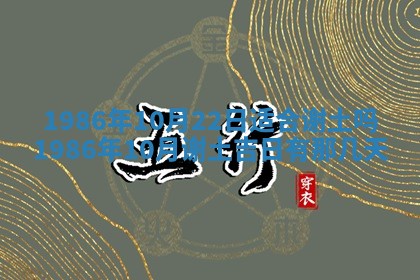 2026年02月13日农历二〇二五年腊月廿六出生的郑姓男宝宝取名全攻略