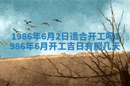 2026年02月13日农历二〇二五年腊月廿六出生的郑姓男宝宝取名全攻略