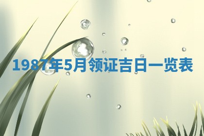 农历2025年五月廿二黄历商业启动适合吗,这天开业合适吗