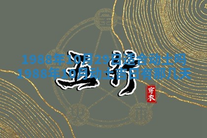 农历2025年五月廿二黄历商业启动适合吗,这天开业合适吗