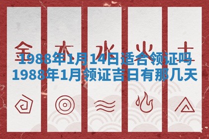 八字五行与黎姓：2026年03月11日出生男宝宝的理想名字分析